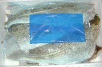 Fresh cod fillets skin-on with icepack