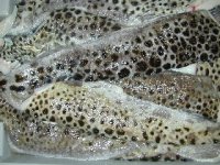 Fresh fillets of spotted catfish (Tigers) Anarhichas minor