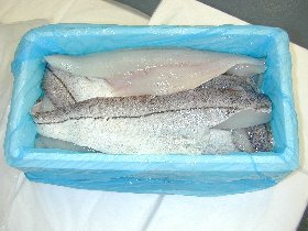 Fresh haddock fillets skin-on packed for air cargo