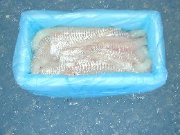 Fresh Cod fillets skinless, Icelandic Cod