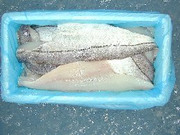 Fresh haddock fillets skin-on, Icelandic Haddock